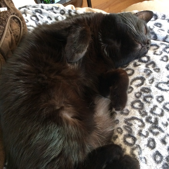 Meet your Posher, Janet - Picture 8 of 8